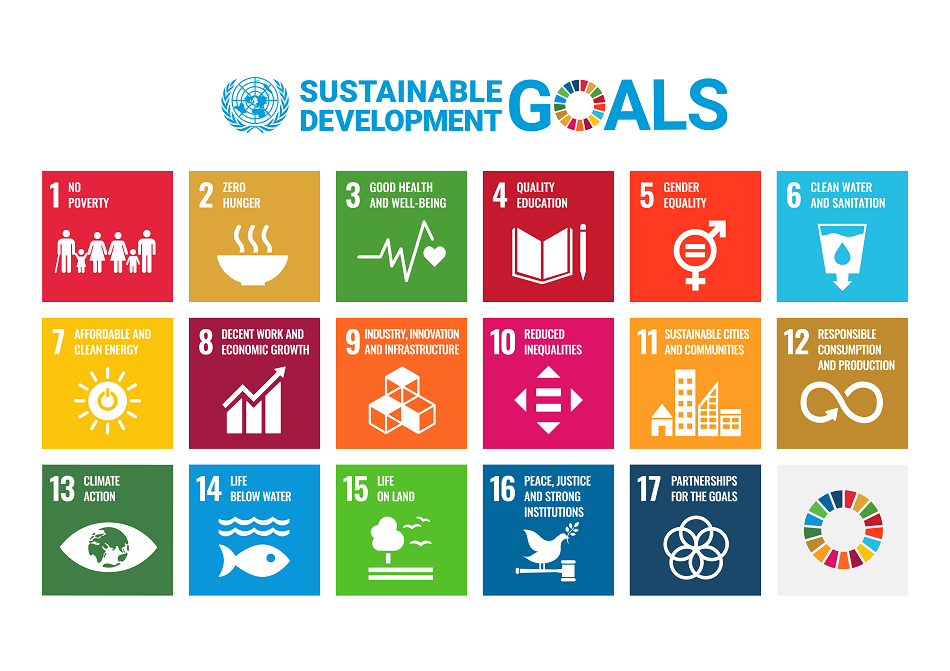 Representation of the 17 Sustainable Development Goals